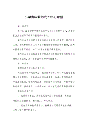 小学青年教师成长中心章程.docx