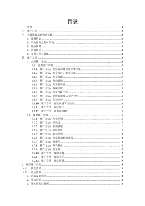 天猫商城推广方案.doc