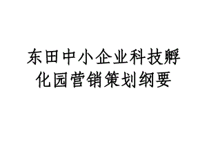 中小企业科技孵化园营销策划纲要.doc