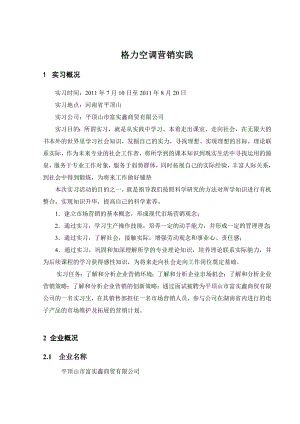 格力空调营销策划实习报告.doc