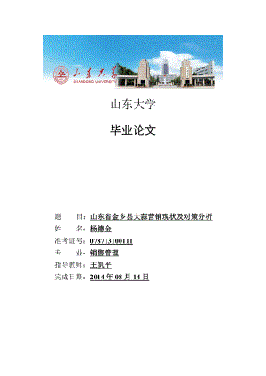 山东省金乡县大蒜营销现状及对策分析 (修).doc