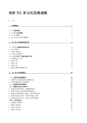 TCL多元化战略.doc