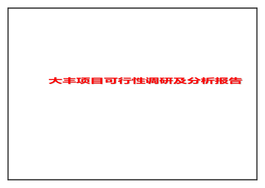 大丰项目可行性调研及分析报告06054.doc_第1页