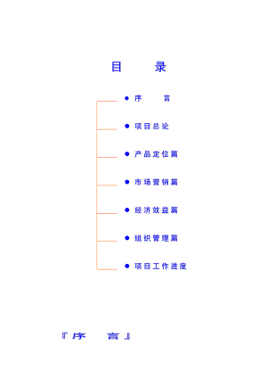 【地产文案】《专业市场房地产项目策划》.doc