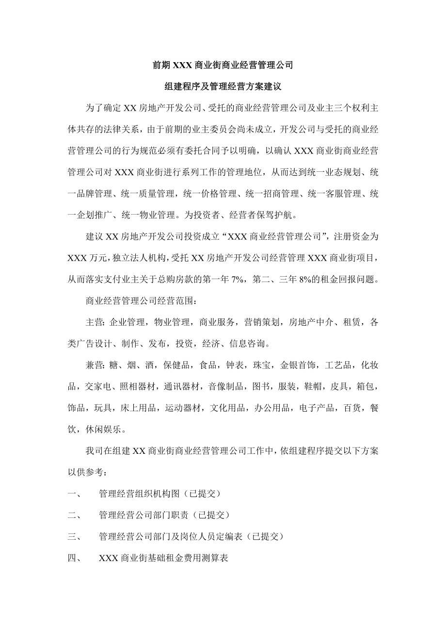 XXX商业街经营管理公司方案建议.doc_第1页