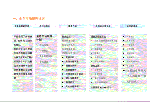 caina金色计划.doc