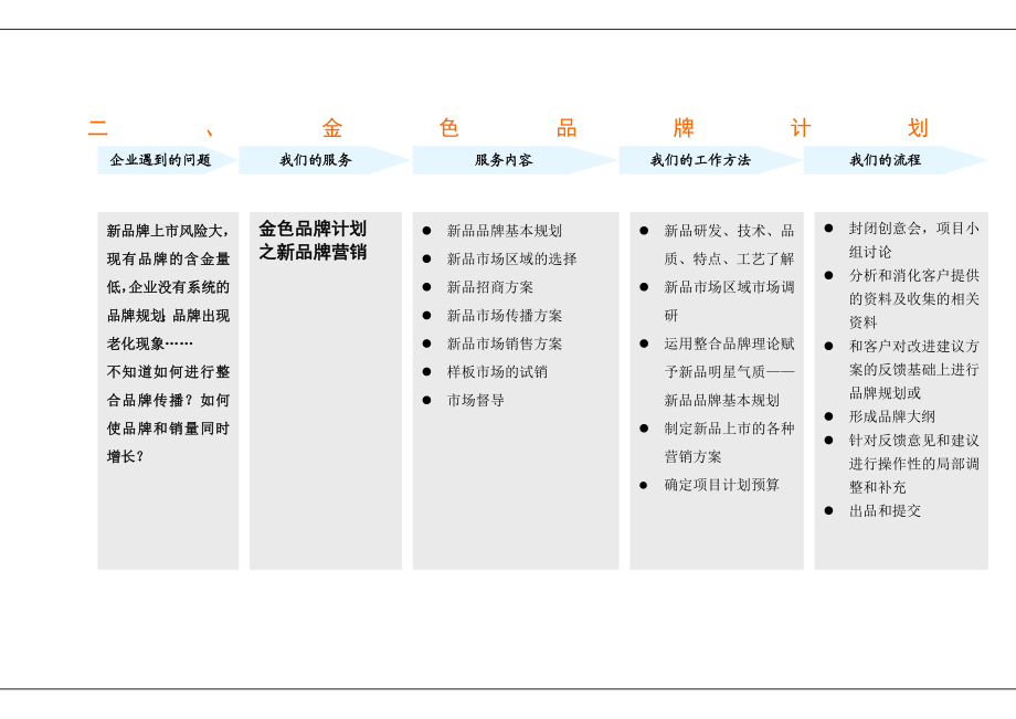 caina金色计划.doc_第2页