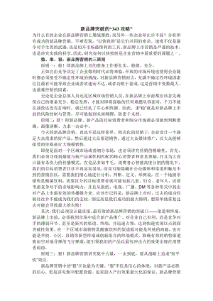 新品牌突破的343攻略.doc