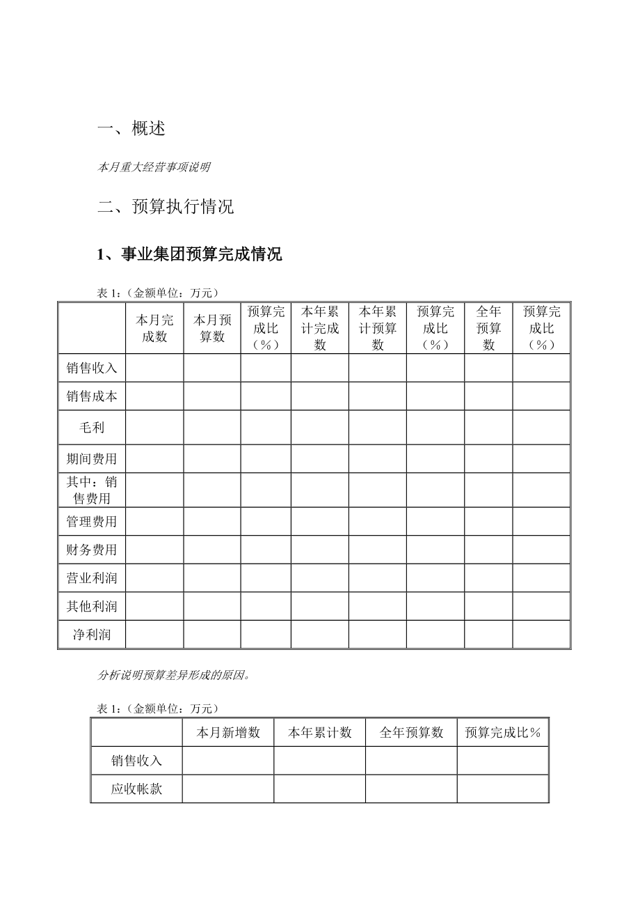 事业集团经营分析报告模板.doc_第3页