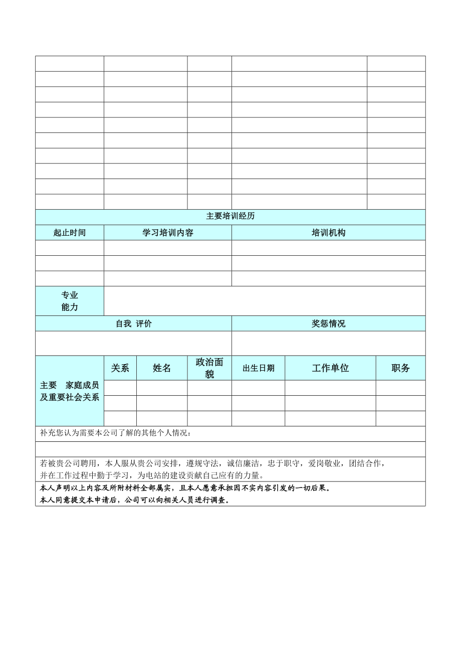 云南国际应聘申请表.doc_第2页