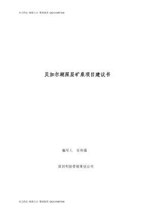 高端矿泉水项目策划书.doc