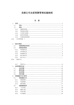 龙湖公司全面预算管理实施细则33p.doc