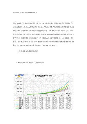 09上半智联招聘薪酬调查报告 .doc