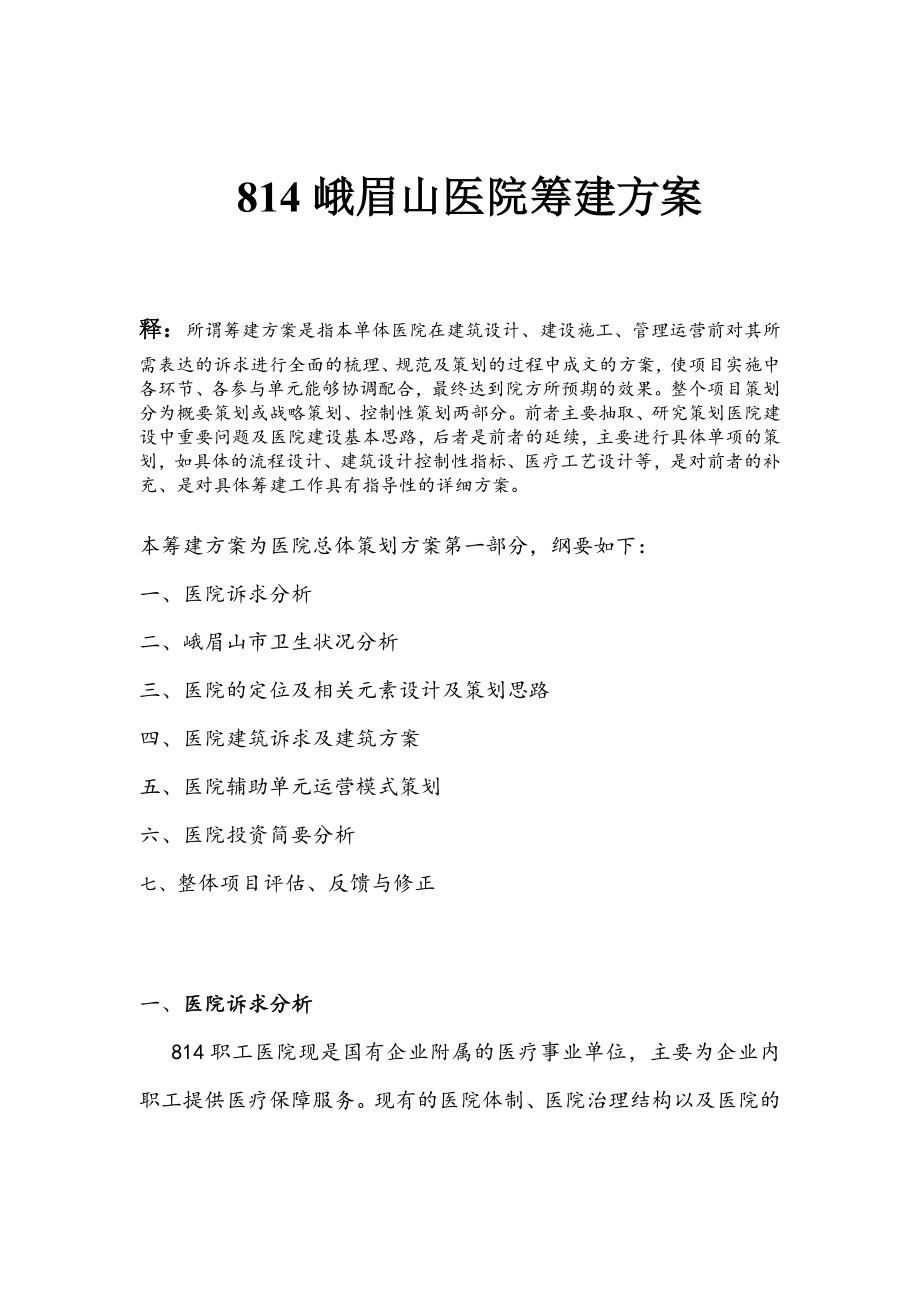 医院筹建策划方案.doc_第1页