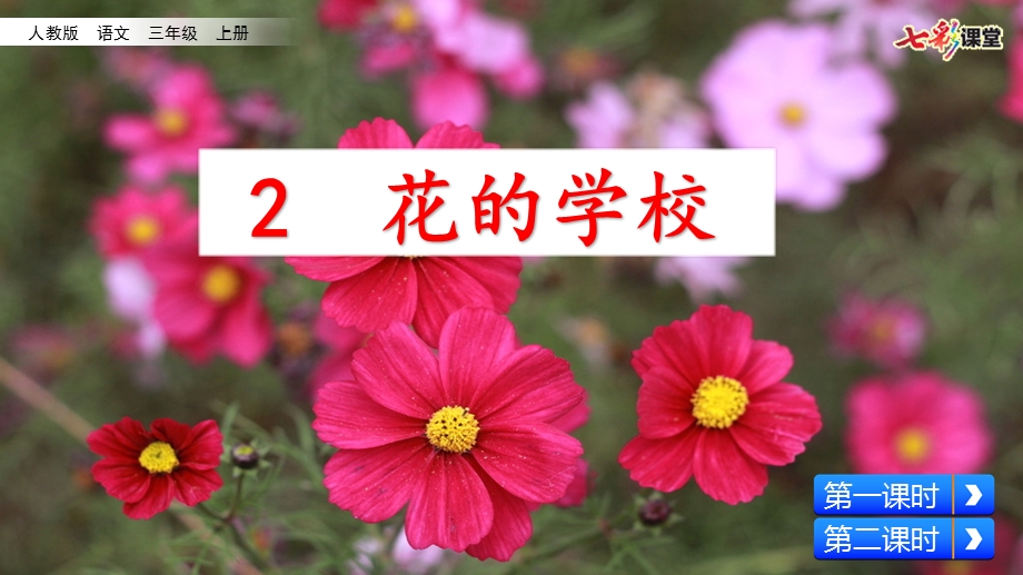 部编版语文三年级上册-《2-花的学校》-优秀ppt课件.pptx_第2页