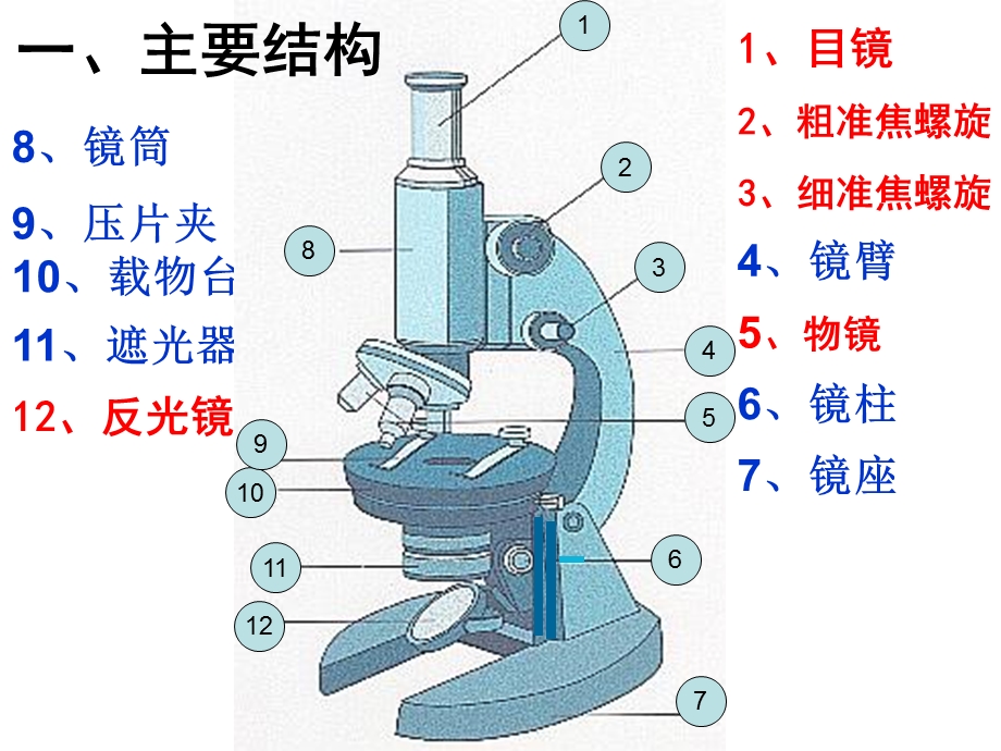 显微镜的结构和使用课件.ppt_第2页