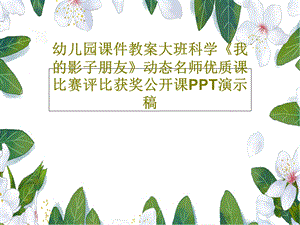 幼儿园ppt课件教案大班科学《我的影子朋友》动态名师优质课比赛评比获奖公开课.ppt