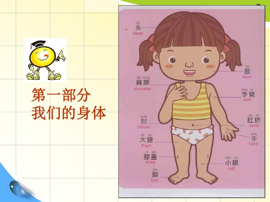 幼儿园大班主题我我们的身体课件.ppt_第3页