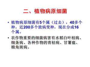 植物保护学ppt课件--第二章-细菌和线虫.ppt