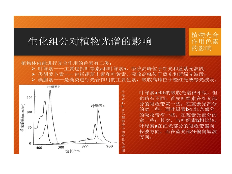 植物光谱影响因素课件.ppt_第3页