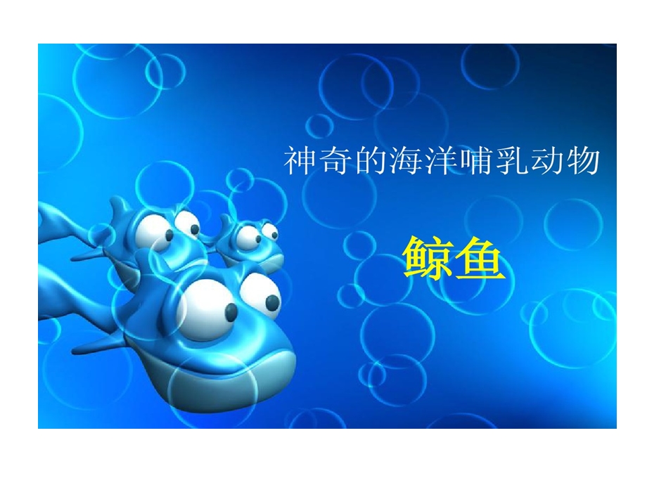 神奇海洋哺乳动物课件.ppt_第1页