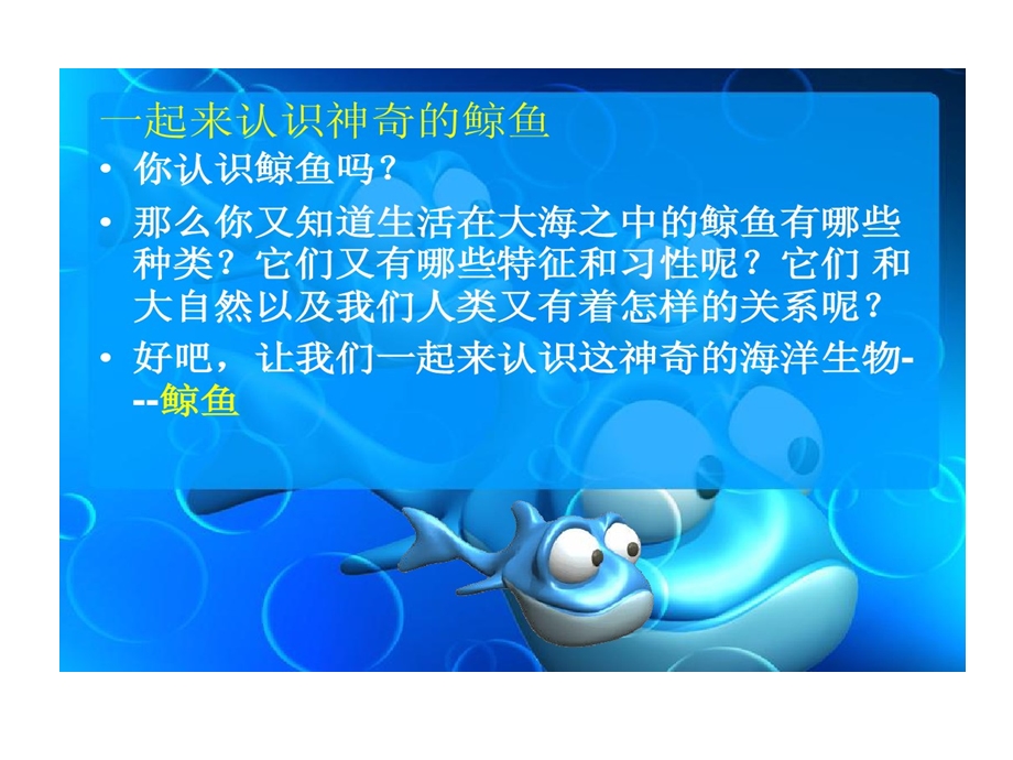 神奇海洋哺乳动物课件.ppt_第2页