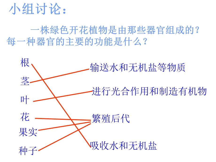 植物体的结构层次课件-人教版.ppt_第3页