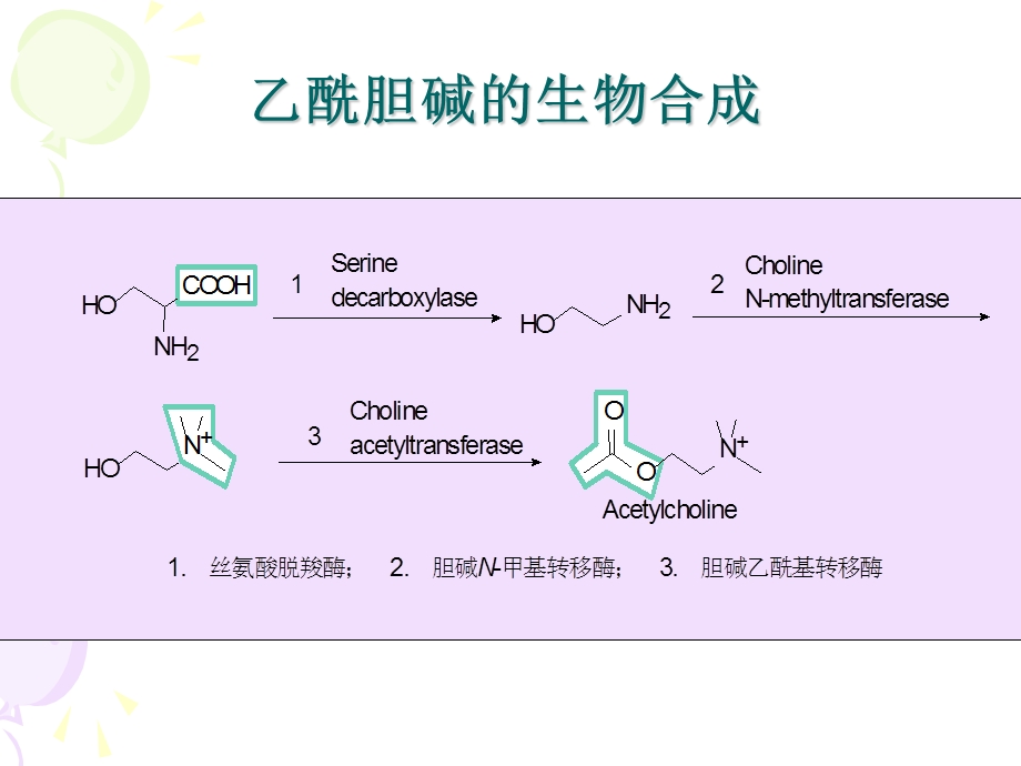 外周(药物化学)课件.ppt_第3页