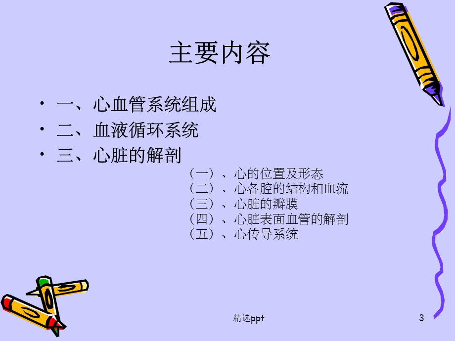 正常人体心脏解剖课件.ppt_第3页