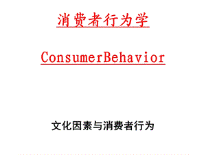 消费行为学之文化因素与消费者行为课件.ppt