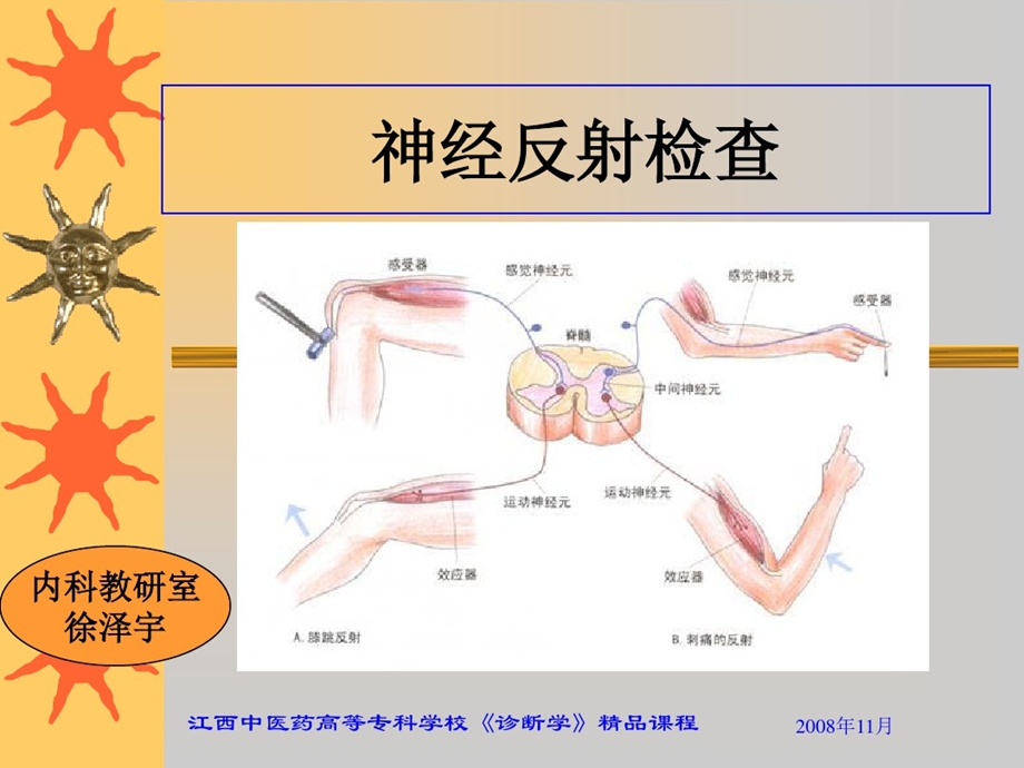 神经反射检查课件.ppt_第1页