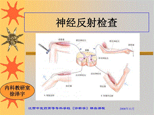 神经反射检查课件.ppt