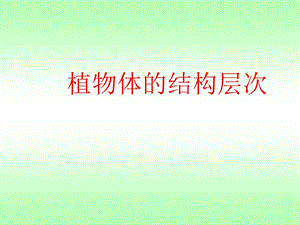 植物体的结构层次-课件 人教版.ppt