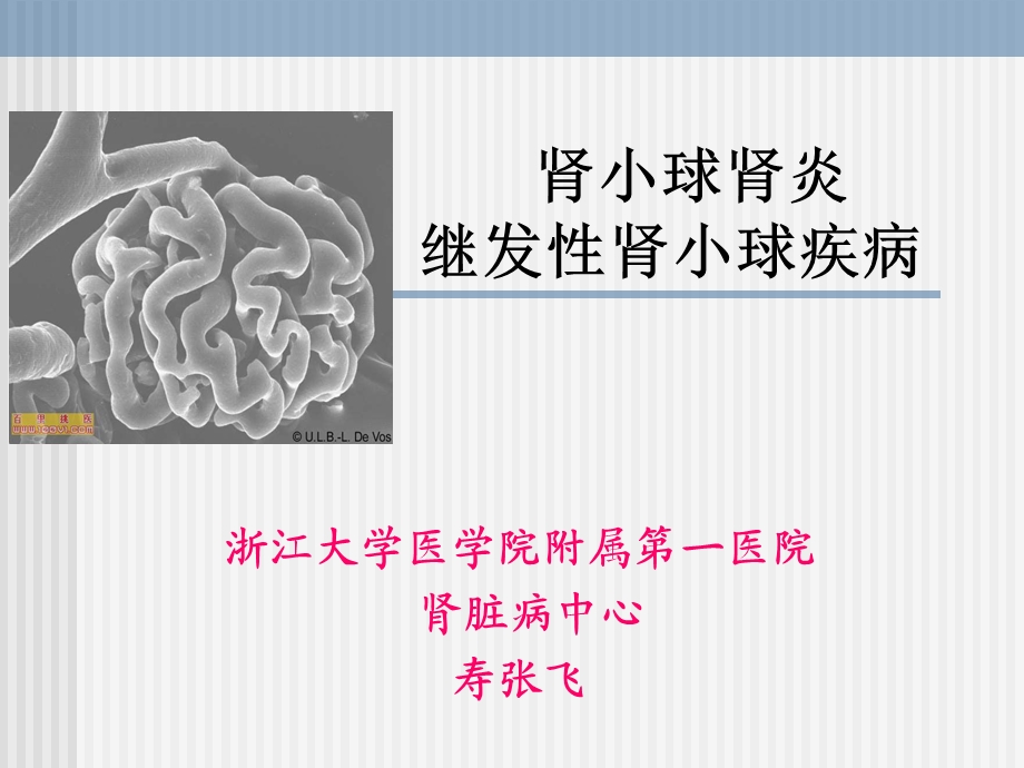 肾小球肾炎及继发性肾炎课件.ppt_第1页