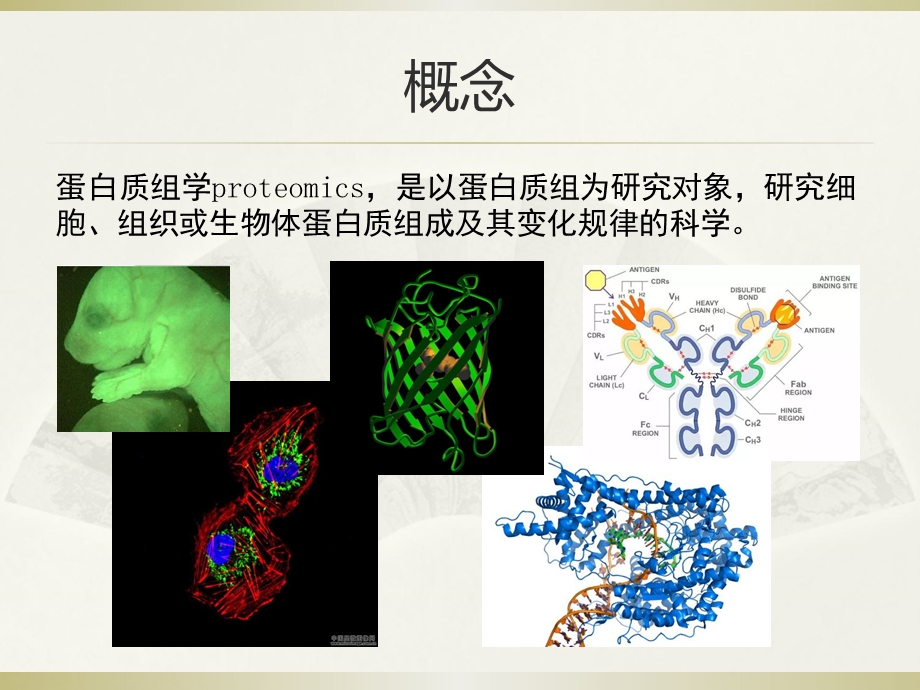 生物信息学的概念及其发展历史课件.ppt_第2页