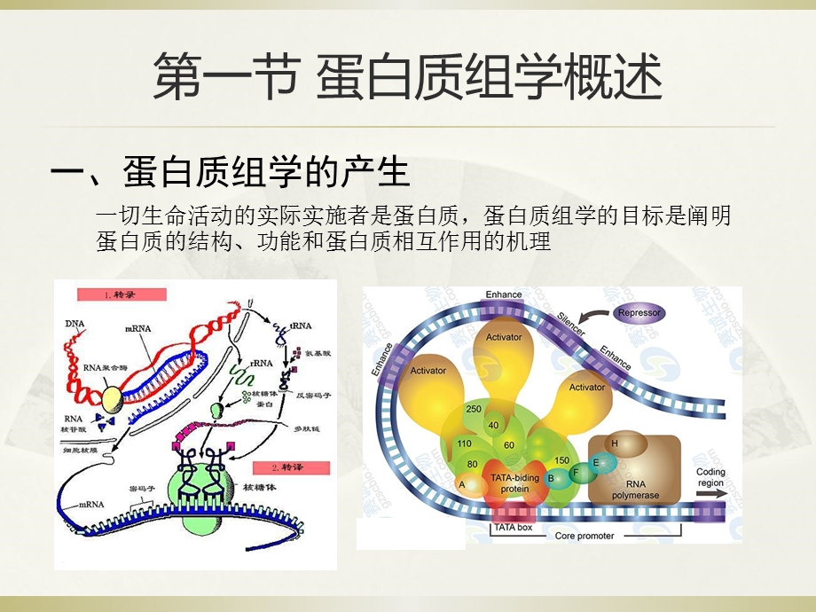 生物信息学的概念及其发展历史课件.ppt_第3页