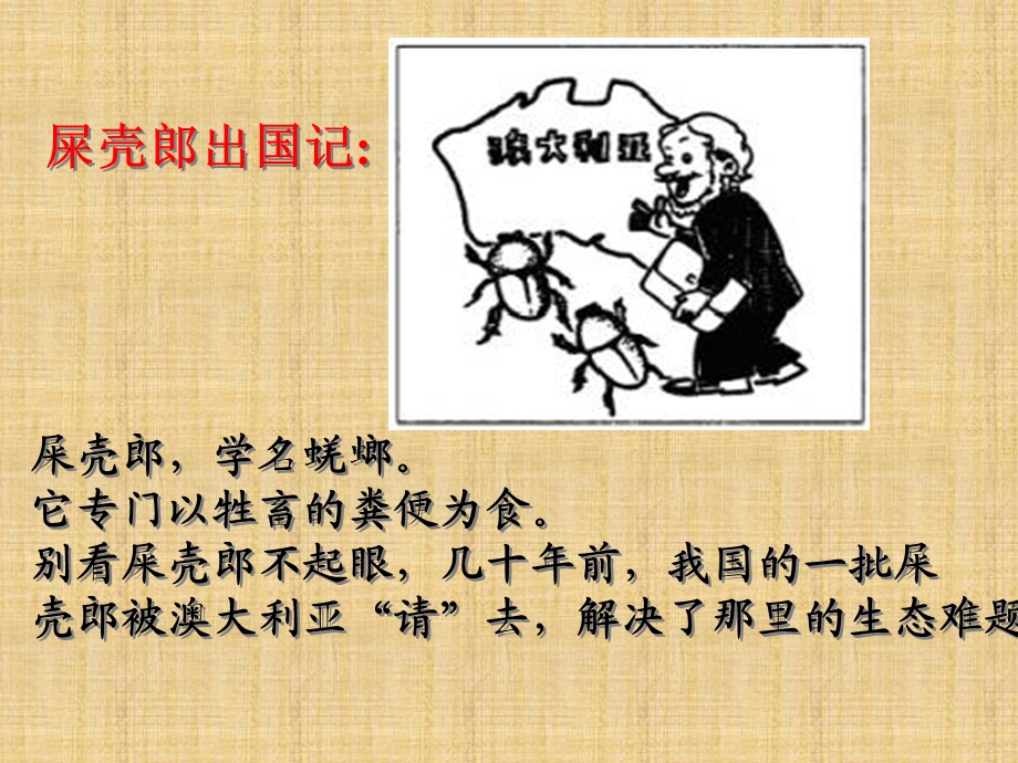 生物对环境的影响ppt课件.ppt_第3页