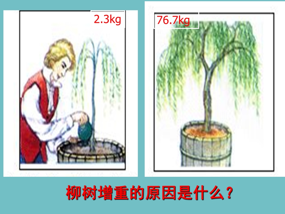 植物的光合作用-课件苏科版.ppt_第2页