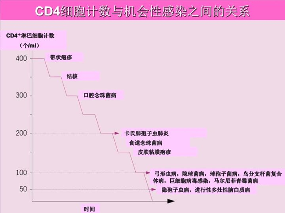 hiv合并马尔尼菲青霉的诊断和治疗课件.ppt_第3页