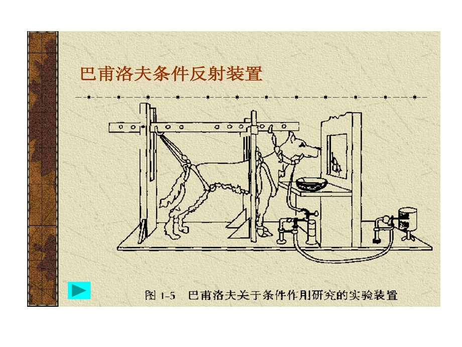 心理学行为主义学派课件.ppt_第3页