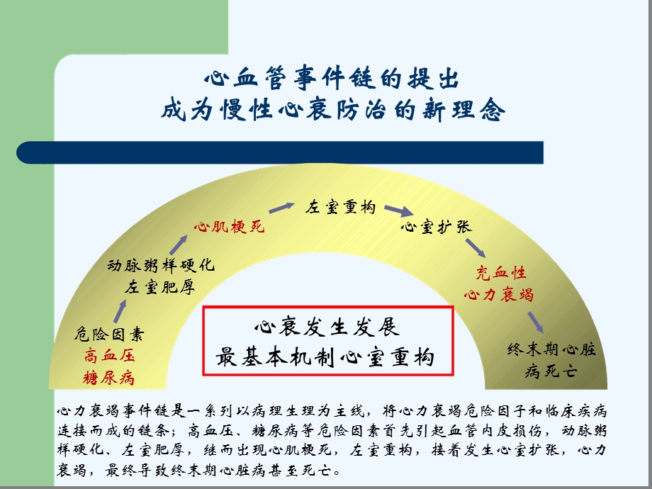 心肌重构机制的研究进展及早期干预研究课件.ppt_第2页