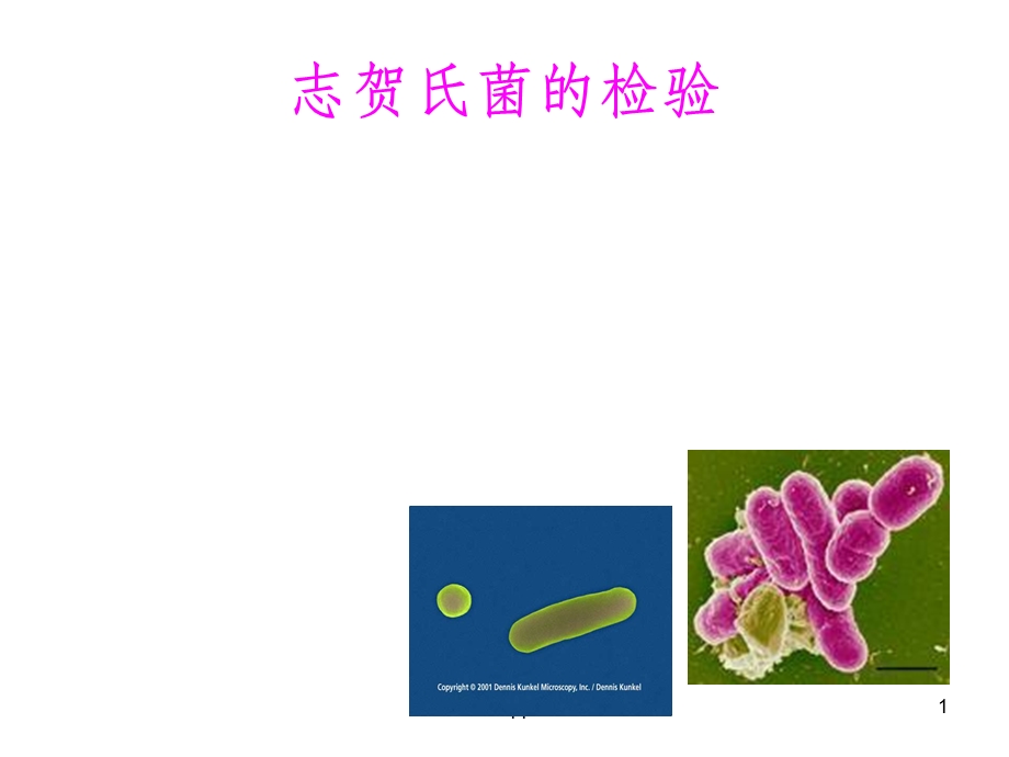 志贺氏菌检验课件.ppt_第1页