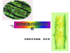 植物细胞结构和功能苏教版课件.ppt