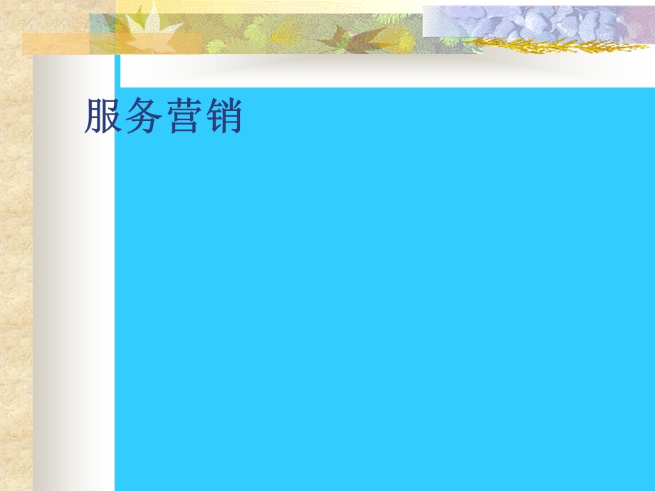 服务营销概论课件.ppt_第1页