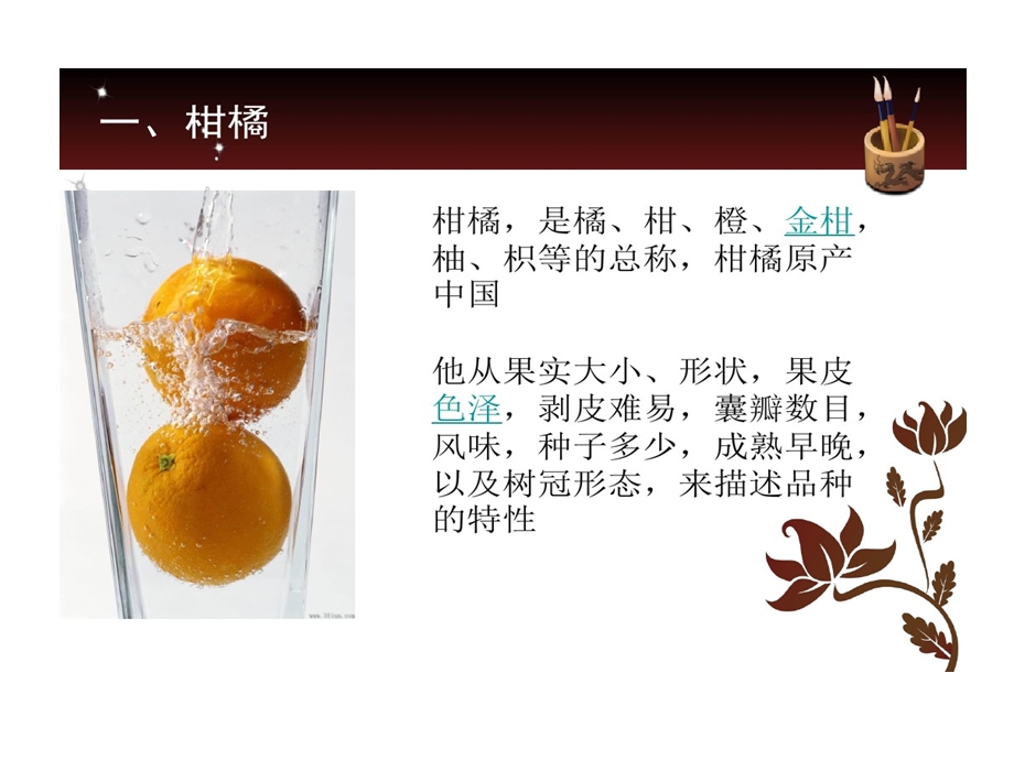 柑橘种植技术课件.ppt_第2页