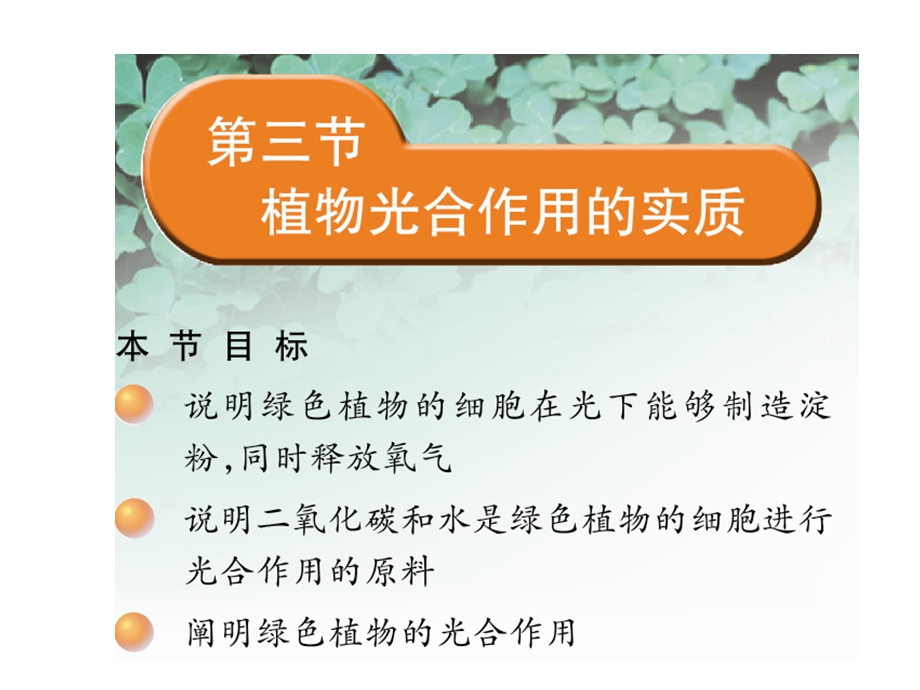 植物光合作用的实质-课件-苏教版.ppt_第1页