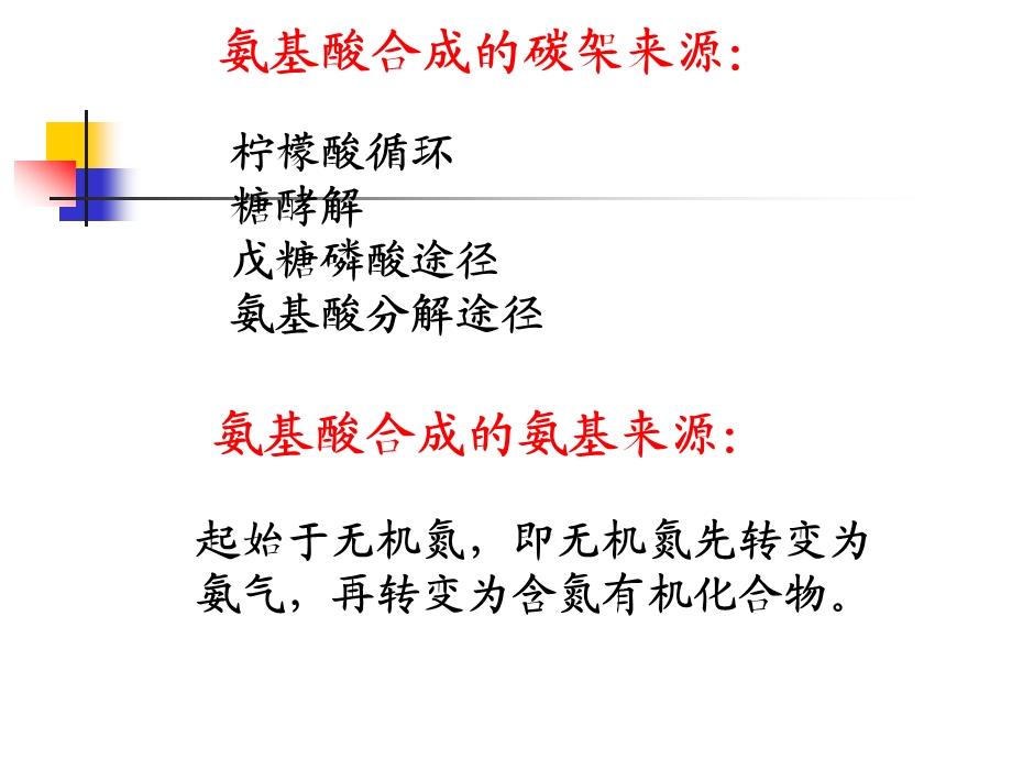 氨基酸及其重要衍生物的生物合成课件.ppt_第2页