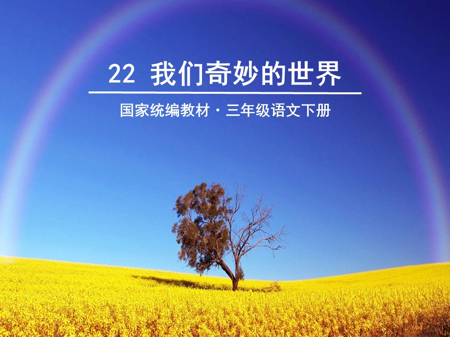 我们奇妙的世界课件部编版.ppt_第2页