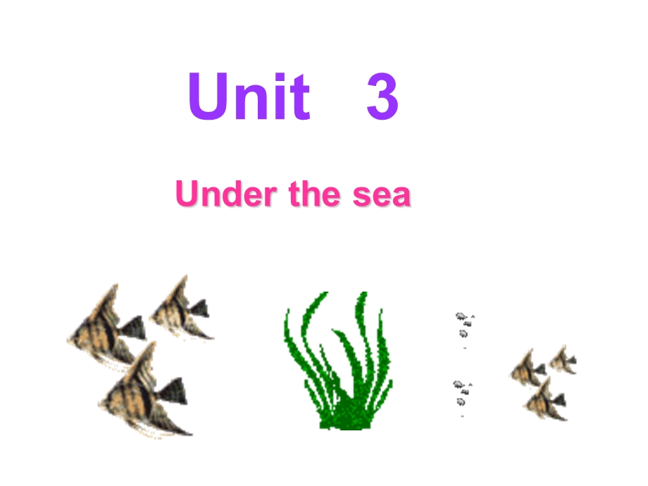 新人教选修7Unit3UndertheseaReading阅读ppt课件.ppt_第2页