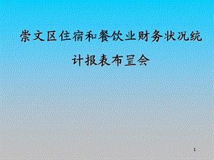 崇文区住宿和餐饮业财务状况统计报表布置会课件.ppt